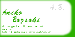 aniko bozsoki business card